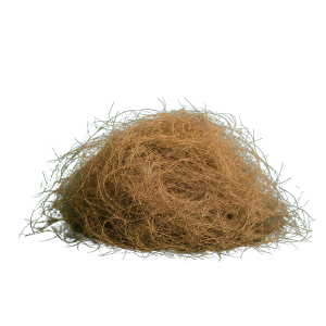 Premium Coconut Fiber (Coco Fiber)